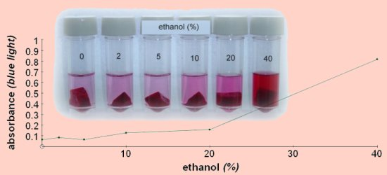 ethanol (%) 2 5 10 20 40 absorbance (blue light) 0.9 0,8 0.7 0.6 0,5 0.4 0.3 0.2 0.1 10 30 40 20 ethanol (%)