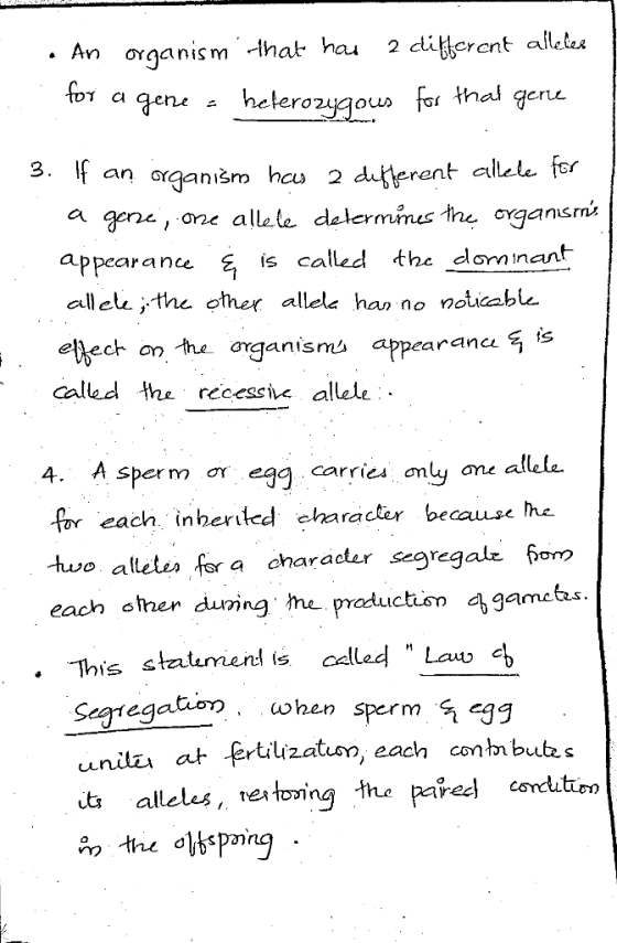 An organismthat hau for 2 dierent alleles helerozygous for thal CI qene gere 3. f an organišm hcu 2 duferent allele for a gen