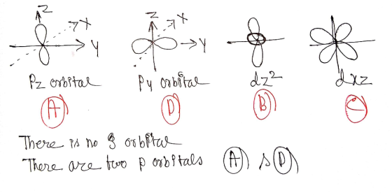a ->Y Pz orbital Pz oosital ey orbital Pu orbital de 2 de There is no 8 orbera There are two p orbitals