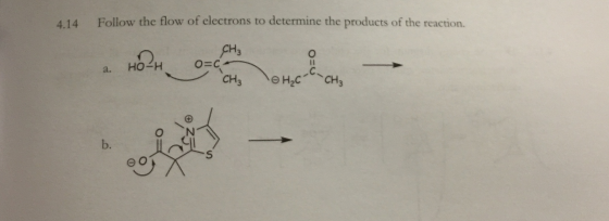 I need help with only the EVEN numbered questions