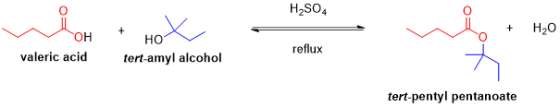 H2SO4 W hoH + How = + H2O OH valeric acid HO tert-amyl alcohol reflux tert-pentyl pentanoate