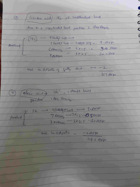 ③ / linoleur ail) - 18 12 unsaturated na due to a unsaturated food prodlec 2 Venfabu m pothed a aute, I CA lacet CGA - IDATO
