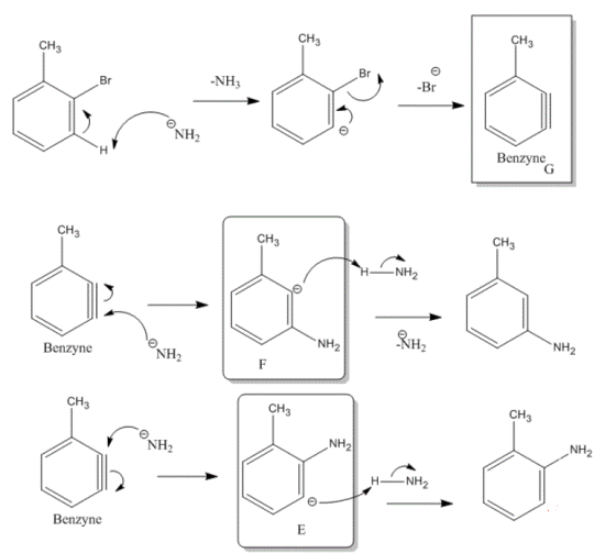 CH3 СНЗ CH3 -NH3 NH2 Benzyne CH3 CH3 CH NH NH NH Benzyne NH2 CH3 CH3 CH NH NH NH2 HNH2 Benzyne