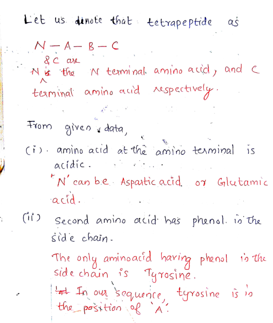 Let us tte that tetrapeptide as N-A-B- C N theNtemi nal amino aid, and teaminat amino adpectivel From given data Ciamino acid