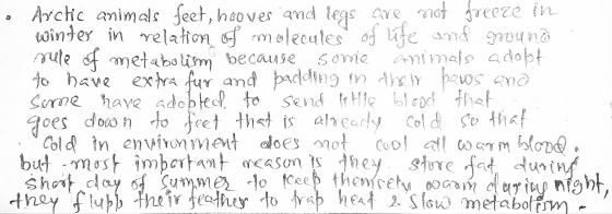 Arctic animals feet, hoover and legs are not freeze ile winter in relation of molecules of life and ground yule of metabolism