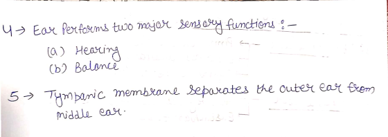4Ear Performs two major sensory functions :- (0 ) HeativЯ (b) Balance 5 - separates the outer ear from Tumbanic membrane midd