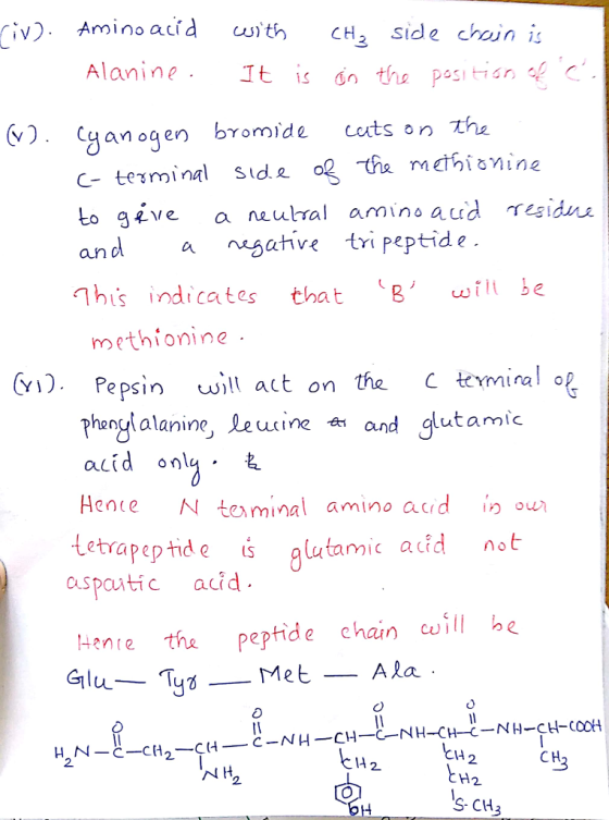 iv) Aminoacid th CH side choin i Alanine egan ogen bγ0m de cuts on the c- terminal Slde o2 he methismine a nsahve tri peptide