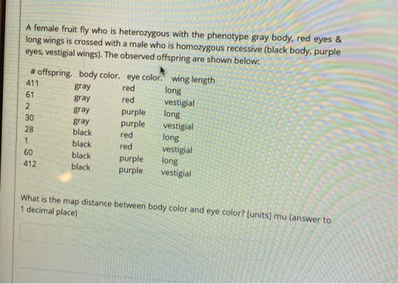 A female fruit fly who is heterozygous with the phenotype gray body, red eyes & long wings is crossed with a male who is homo