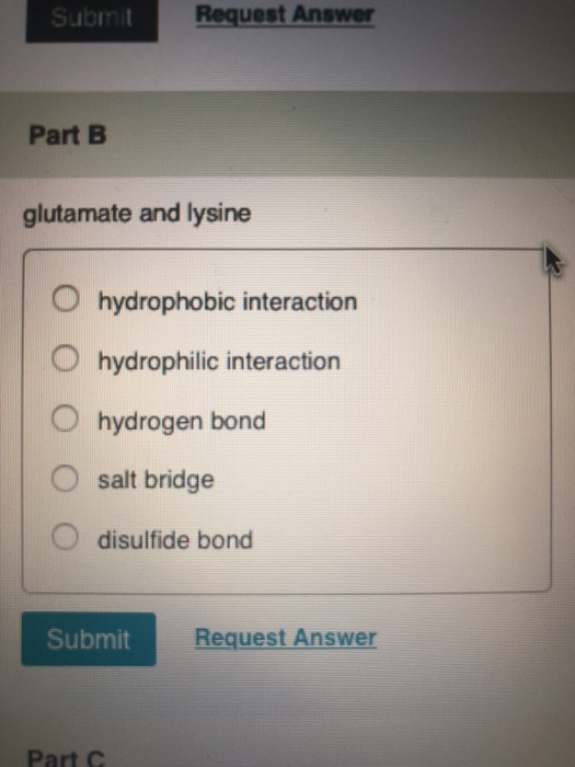Submit Request Answer Part B glutamate and lysine O hydrophobic interaction O hydrophilic interaction O hydrogen bond O salt