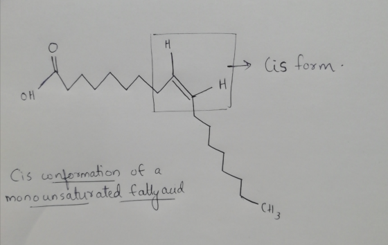 H Cis form . H OH a Cis conformation of monounsaturated fally and CH