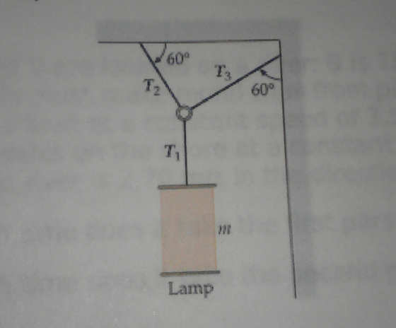 60 Lamp 600