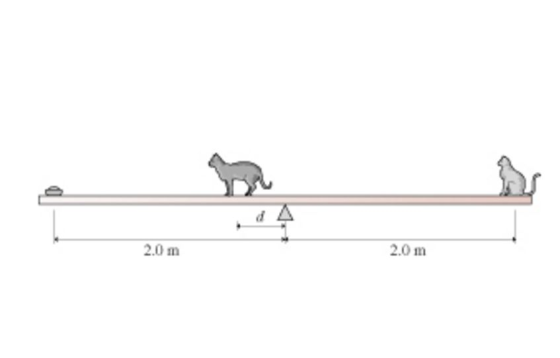 2.0 m 2.0 m