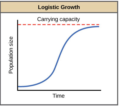 Logistic Growth Carrying capacity Time