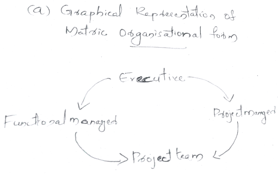 ca) Graphical Repdesestation of Osganisational fotoy Evecutive Fun to nal manged Paoydlromgend > Psoject team a