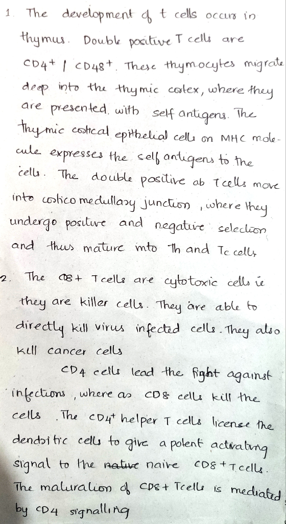 1. The development of t cells ocuro in thymus. Double positive T cells are 004+ 1 CD48+. These thymocytes migrate deep into t