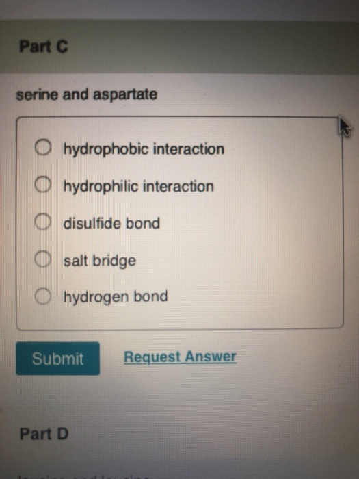 Part C serine and aspartate O hydrophobic interaction O hydrophilic interaction O disulfide bond O salt bridge O hydrogen bon