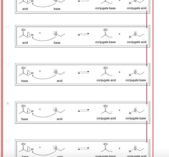 acid base conjugate base conjugate acid :O acid base conjugate base conjugate acid base acid conjugate acid conjugate base base acid conjugate acid conjugate base coniugate base