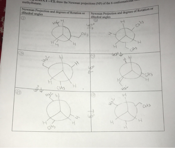 C2, draw the Newman projections (NP) of the 6 conformation methylbutane. Newman Projection and degrees of Rotation or dihedra