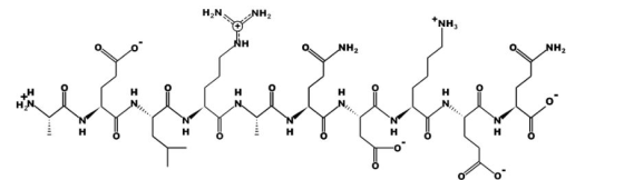 HAN NH NH2 0 . NH2