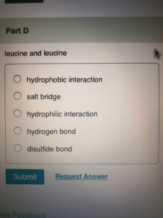 Part D leucine and leucine O hydrophobic interaction O salt bridge O hydrophilic interaction O hydrogen bond O disulfide bond