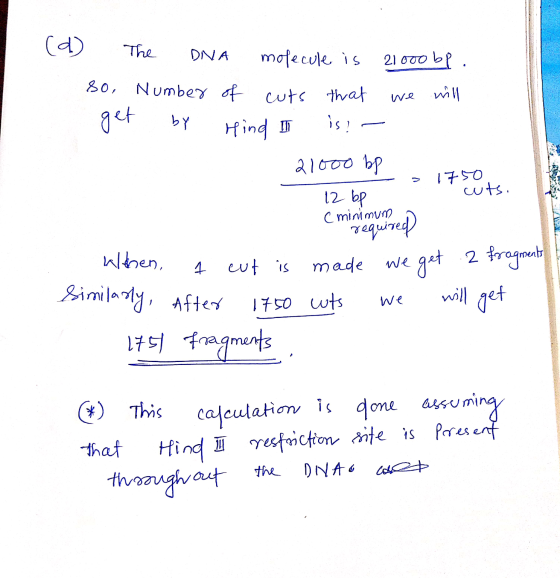 BM we (d) The DNA molecule is 21000 bp. so, Number of cuts that we will - get by Hind Ih is? - 21000 bp -> 1750 wts. 12 bp C