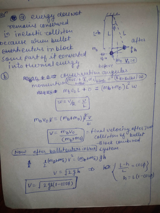 ol olouu Not becauue usu bullet eonwe befene 七 2. 豊 圭(mum) v