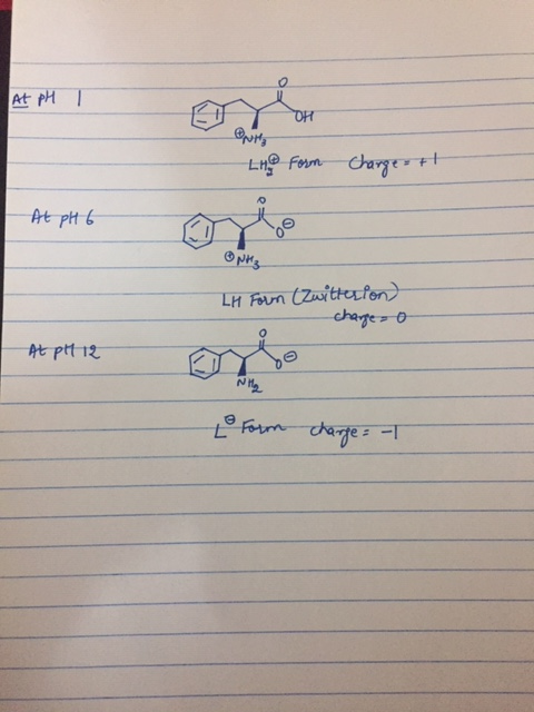 At pH LHD Form Chargest At pH 6 LH Form (Zwitterion) charges o At pH 12 L Form charge = -1