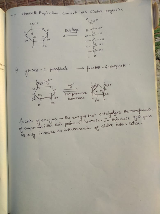 Haworth Projection convert into fischer projection соч - -0-0- il Acid Bare n-ch on no- & n-c-on Von и ои 0-0-0-5 ph b) gluco