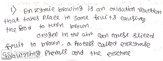 zymie browing is an oxidation reaction that takes place in some fruits eaufino the food to turn brown oxygen in the air can e