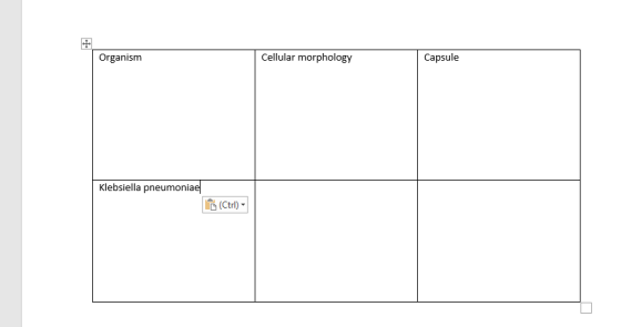 Organism Cellular morphology Capsule Klebsiella pneumoniae (Ctrl)