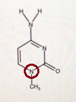 * / G5