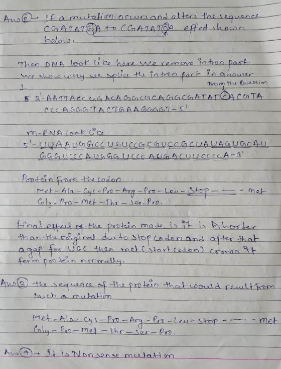 Ans@ If a mutation occurs and alters the sequence CGAIATGA 1o CGALAICA effed shown below. Then DNA look like here we remove i