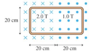 2.0T 1.0T × × 20 cm 20 cm 20 cm