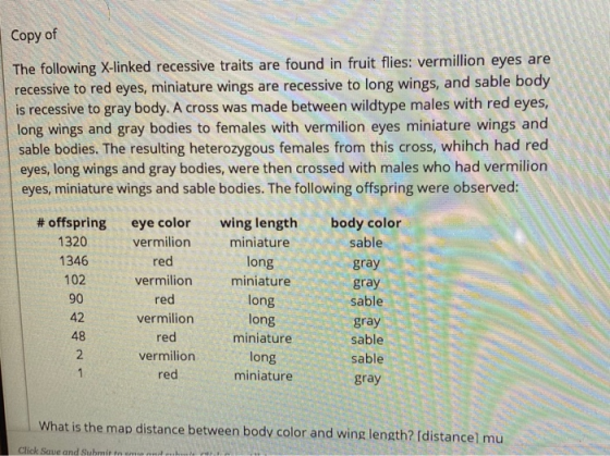 Copy of The following X-linked recessive traits are found in fruit flies: vermillion eyes are recessive to red eyes, miniatur