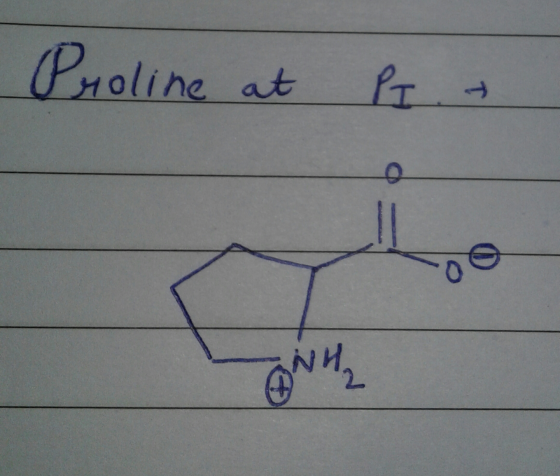 Proline line at PT +