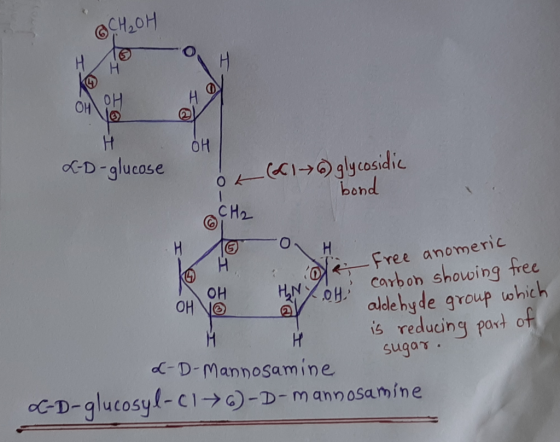CH₂OH 은 OLI 공 н L-D-glucose оң (216) glycosidic bond H o o H Cue anomerie e free anomeric & 20H carbon showing free aldehyde