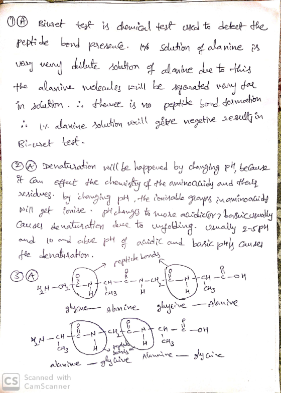 A Biuret test is chemical test used to detect the peptide bood presence. 10% solution of alanine is very very dilute solution