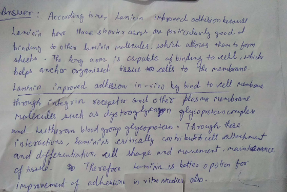 bindin to o the hels ncha or to colt mhafim improvement of adhesion-in vitro studyaļo