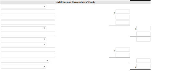 Liabilities and Shareholders Equity