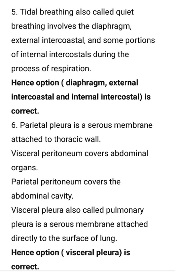 5. Tidal breathing also called quiet breathing involves the diaphragm, external intercoastal, and some portions of internal i