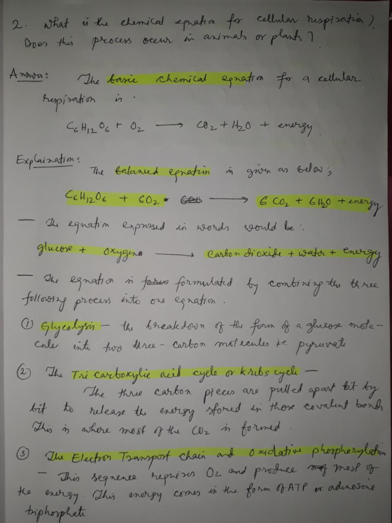 2. What Does this is the chemical equation for cellular respiration) process occur in animals or plants ? chemical egnation f