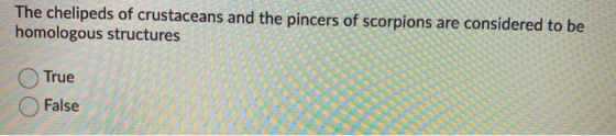 The chelipeds of crustaceans and the pincers of scorpions are considered to be homologous structures True False