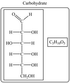 Carbohydrate
Н
Н—с—Он
|С-H 00,
Но—с—н
н—с—он
Н—с—он
CH-ОН