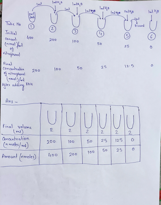 Imlto shultho DO 1150 Discard Tube No Initial concent. 400 200 100 (nmol/l 50 nitrophenol 25 50 12.5 Final concentration I of