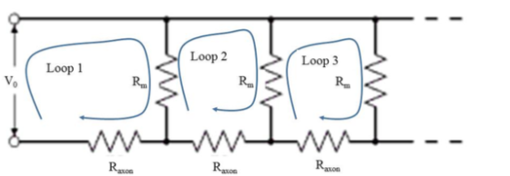 Loop 2 Loop 3 Loop 1 RE