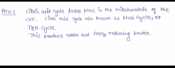 A O Pnst citic aeit cyote taker plae in the mitbchondbda the cell citnc acd Cyte also Rnoun as ksub adle, ox TEA Cycle This p