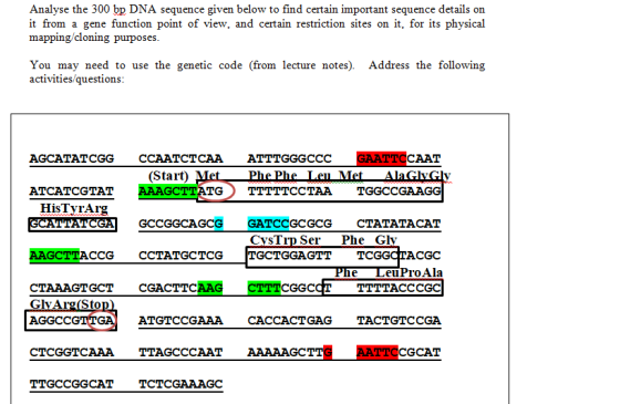 Analyse the 300 bp DNA sequence given below to find certain important sequence details on it from a gene function point of view, and certain restriction sites on it, for its physical mapping cloning purposes You may need to use the genetic code (from lecture notes). Address the following activities questions AGCATATCGG CCAATCTCAA ATTTGGGCCC CAAT (Start) ATCATCGTAT TGTTTTTCCTAATGGCCGAAGG HisTyrArg GCCGGCAGCG GATCCGCGCG CTATATACAT CvSTrp SerPhe Glv euProAla TTTTACCCGC le G?VÀrg(Sto AGGCCGIT ATGTCCGAAA CACCACTGAG TACTGTCCGA CTCGGTCAAA TAGCCCAAT AAAAAGC CGCAT TTGCCGGCAT TCTCGAAAGC