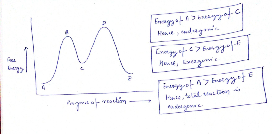 Energy of A> Energy of cl Hence, endergonic free Energy of c> Energy off Иeve, Exes том с Energy I Energy of A> Energy of E H