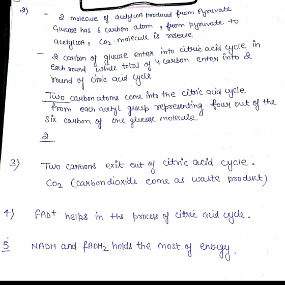 S) molecule 엉 acetyl un booduud tum Pynuate glucose has 6 caubem atm , tumトgouvate to luOA , Co2 molecule veleaue. lutate ent