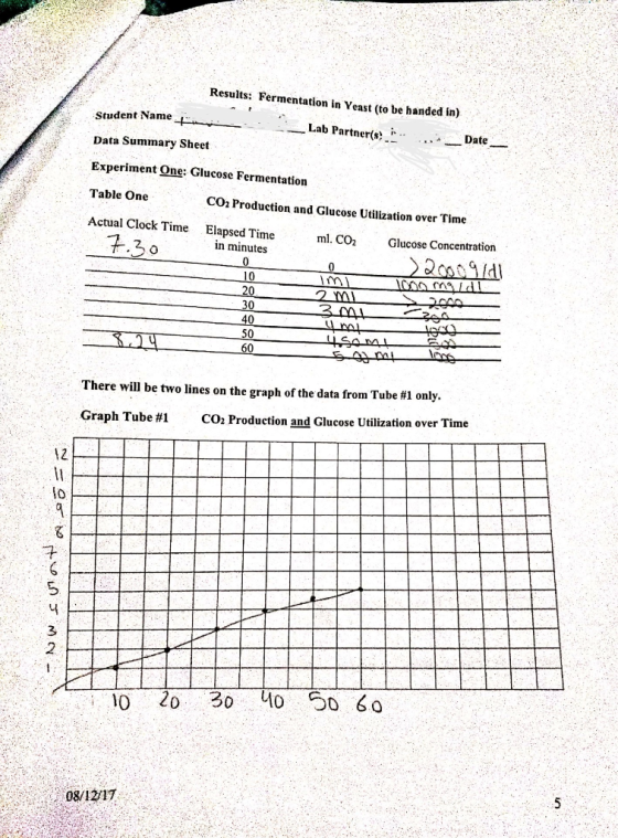 Results: Fermentation in Yeast (to be handed in) Student Name Lab Partner(s) Data Summary Sheet Date Experiment One: Glucose